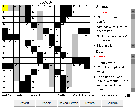 bawdy crossword