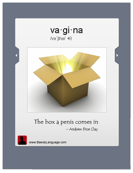 definition of vagina by Dr. Bawdy